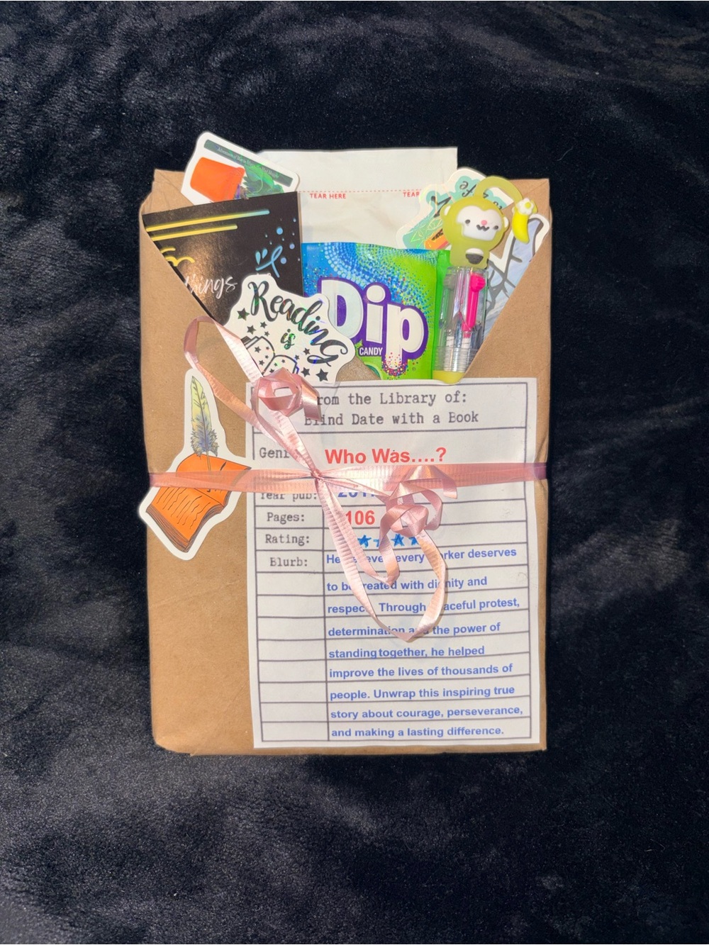Blind bag mystery book. Teacher Curated. Who Was Series.